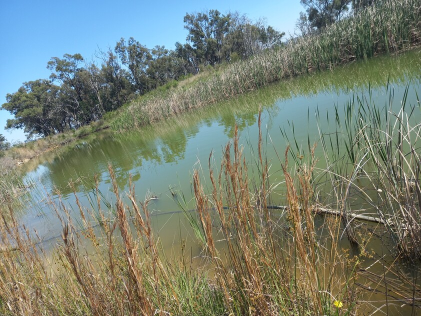 Grazing Property with Dual Residences and Established Infrastructure. Biodiversity Credits Investment Opportunity.