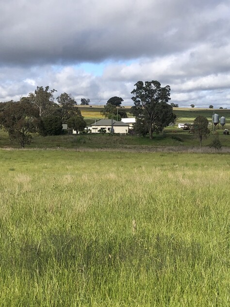 Grazing Property with Dual Residences and Established Infrastructure. Biodiversity Credits Investment Opportunity.