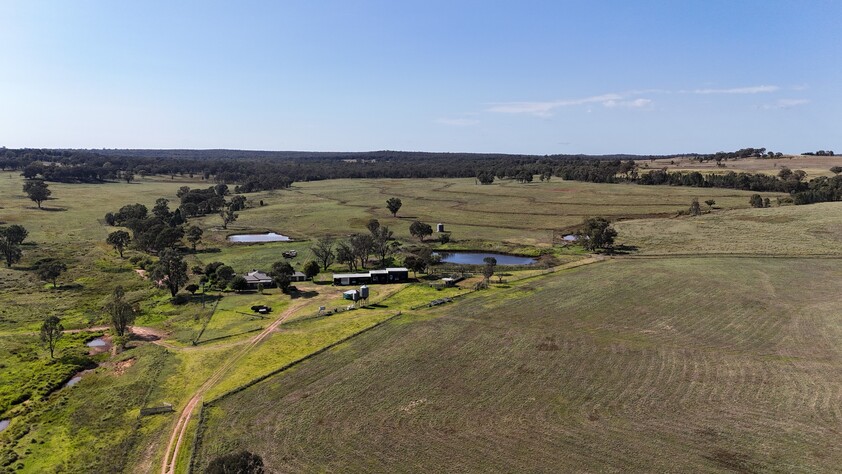 Grazing Property with Dual Residences and Established Infrastructure. Biodiversity Credits Investment Opportunity.