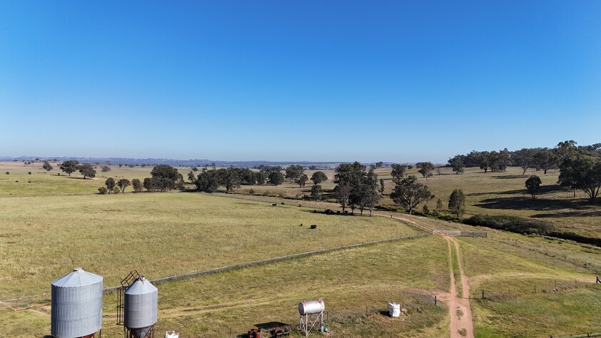 Grazing Property with Dual Residences and Established Infrastructure. Biodiversity Credits Investment Opportunity.