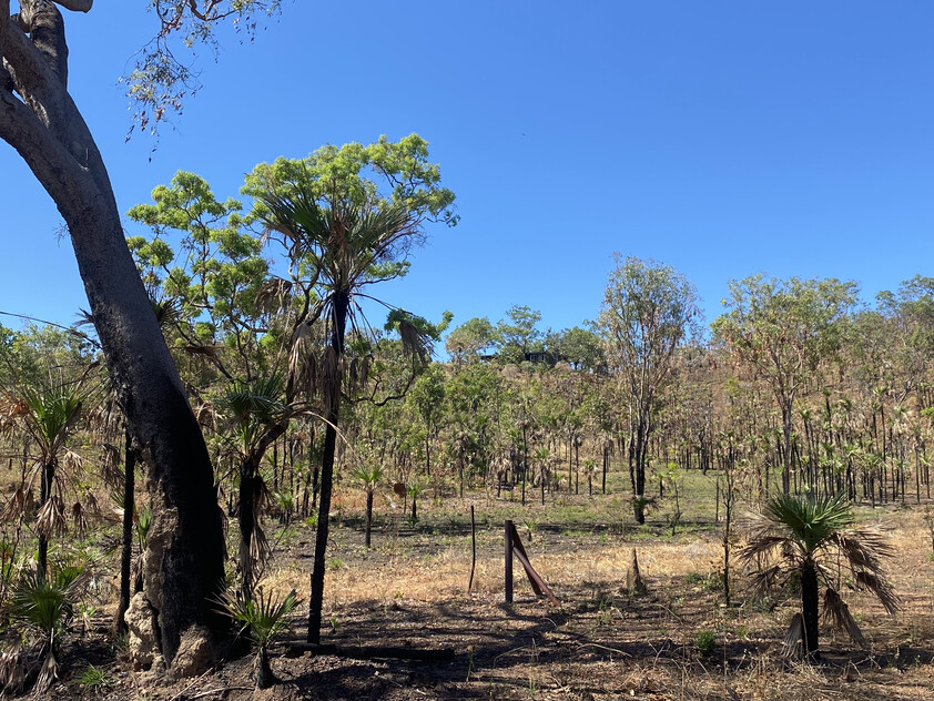 Daly River Property For Sale