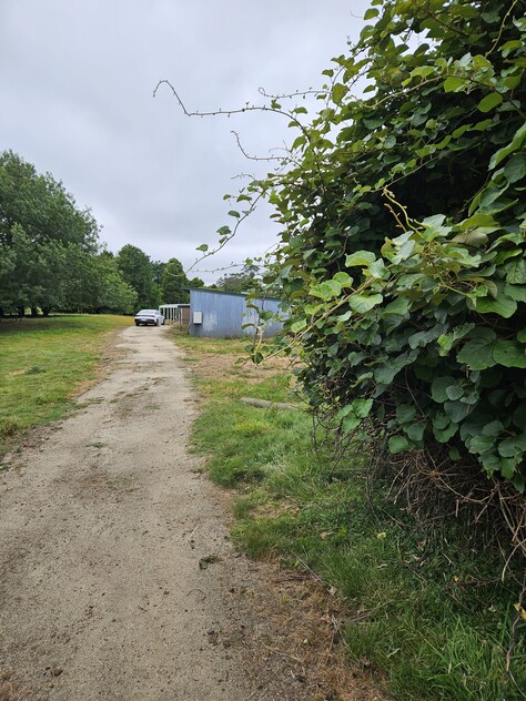 390 acres, House, Pasture, Plantation, Deer, Ferns, Waterfalls...