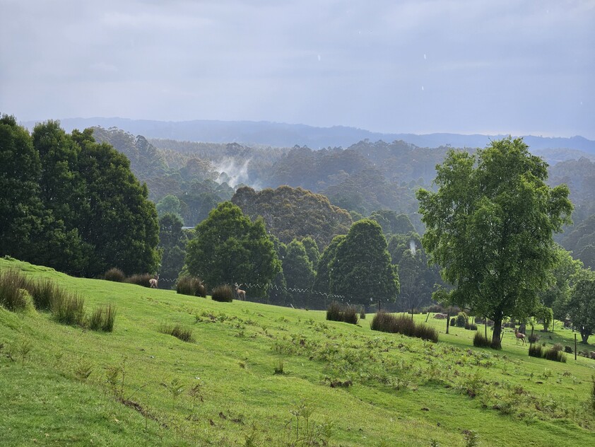 390 acres, House, Pasture, Plantation, Deer, Ferns, Waterfalls...