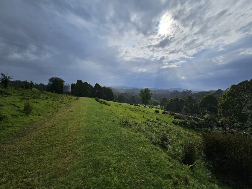 390 acres, House, Pasture, Plantation, Deer, Ferns, Waterfalls...