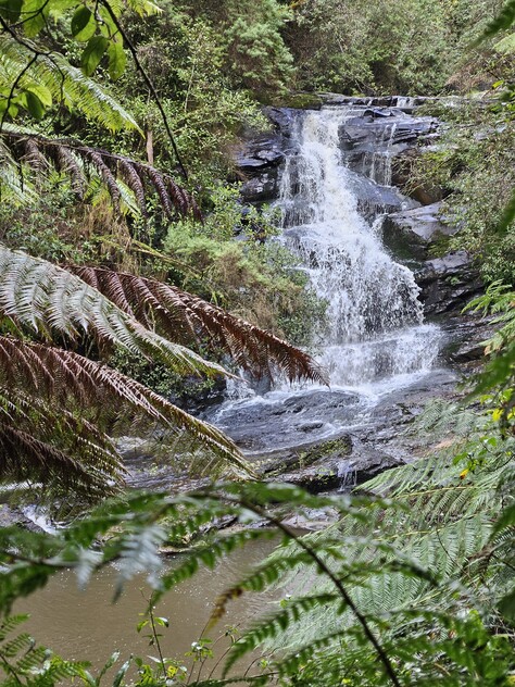 390 acres, House, Pasture, Plantation, Deer, Ferns, Waterfalls...