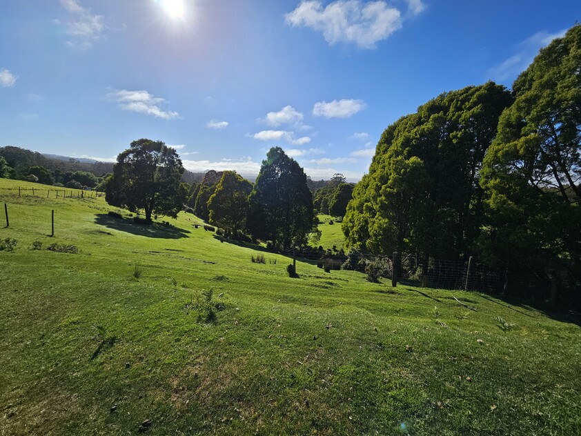 390 acres, House, Pasture, Plantation, Deer, Ferns, Waterfalls...