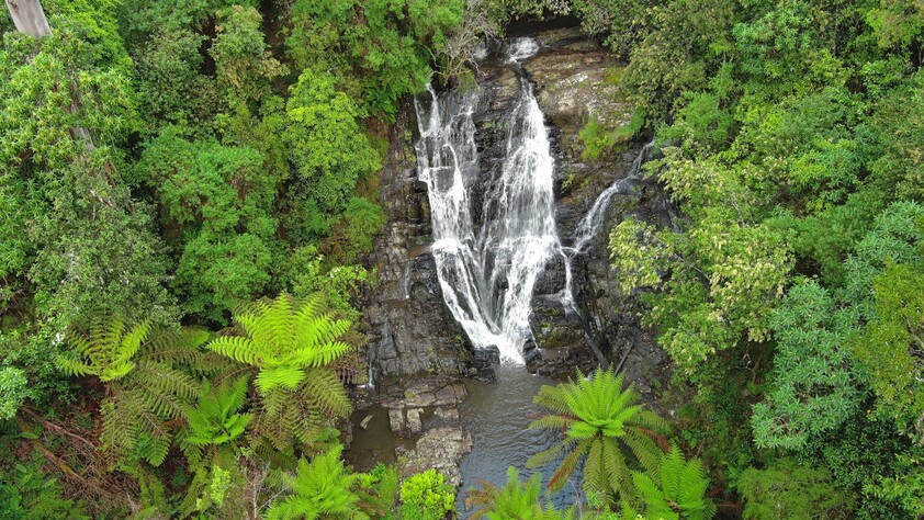 390 acres, House, Pasture, Plantation, Deer, Ferns, Waterfalls...