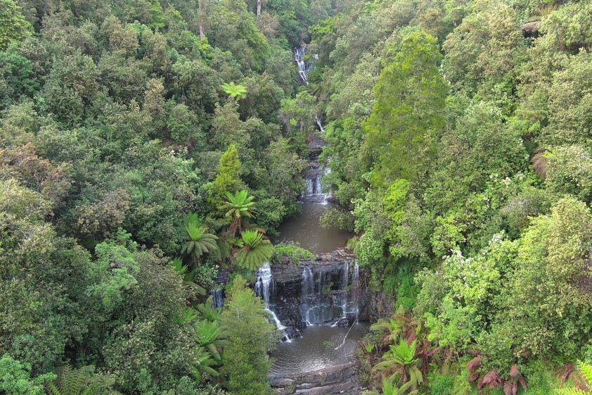 390 acres, House, Pasture, Plantation, Deer, Ferns, Waterfalls...