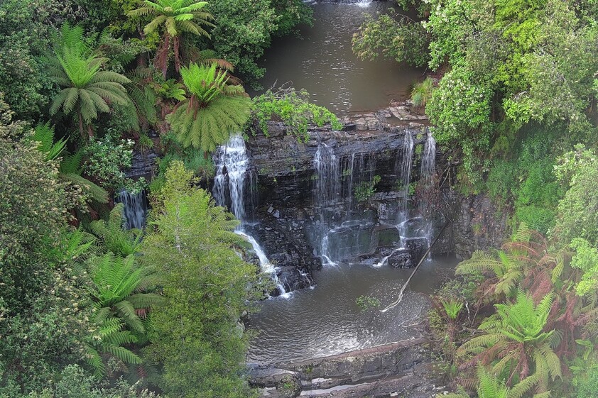 390 acres, House, Pasture, Plantation, Deer, Ferns, Waterfalls...