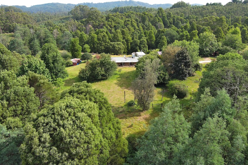 390 acres, House, Pasture, Plantation, Deer, Ferns, Waterfalls...