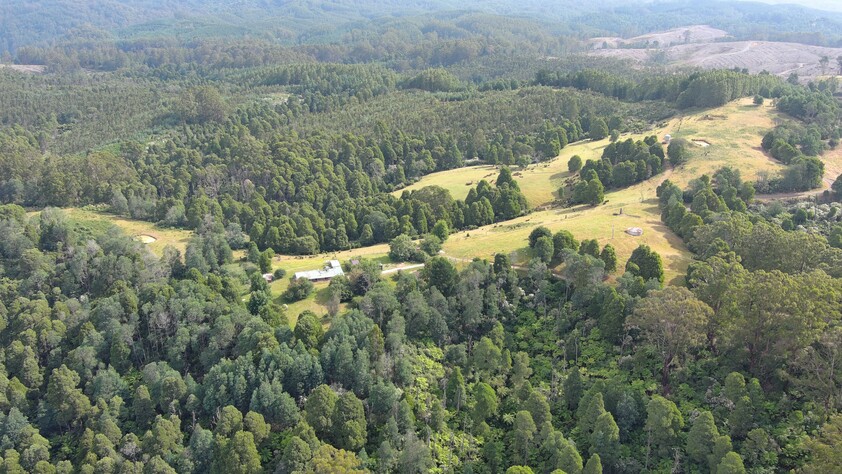390 acres, House, Pasture, Plantation, Deer, Ferns, Waterfalls...