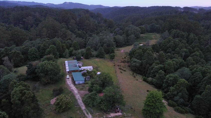 390 acres, House, Pasture, Plantation, Deer, Ferns, Waterfalls...