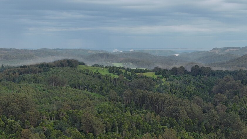 390 acres, House, Pasture, Plantation, Deer, Ferns, Waterfalls...