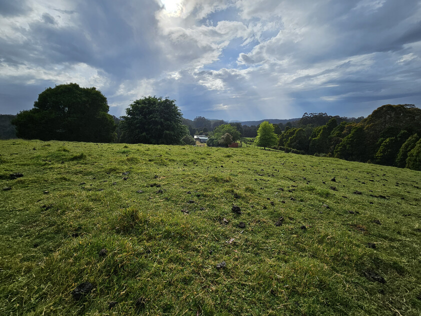 390 acres, House, Pasture, Plantation, Deer, Ferns, Waterfalls...