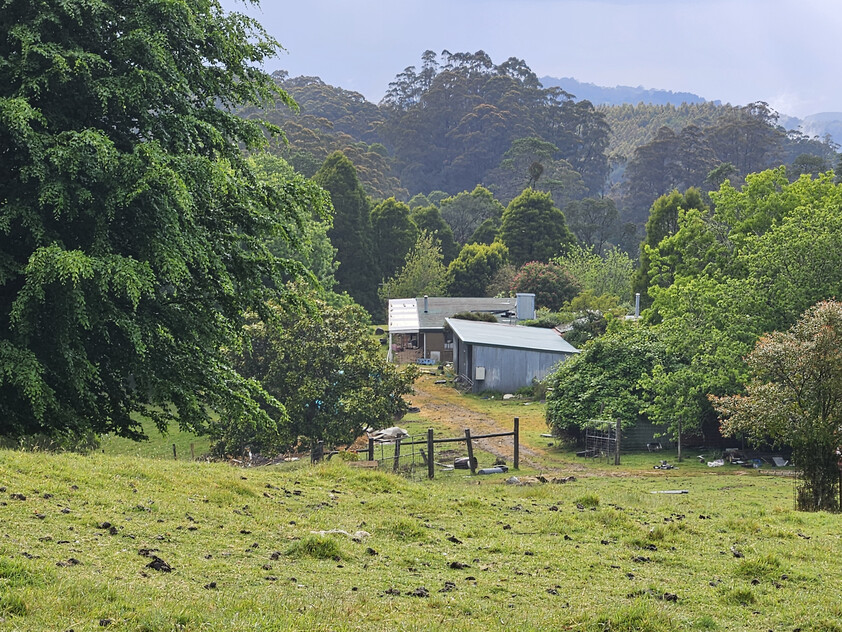 390 acres, House, Pasture, Plantation, Deer, Ferns, Waterfalls...