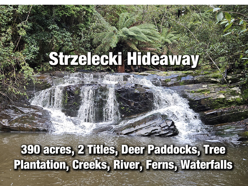 390 acres, House, Pasture, Plantation, Deer, Ferns, Waterfalls...