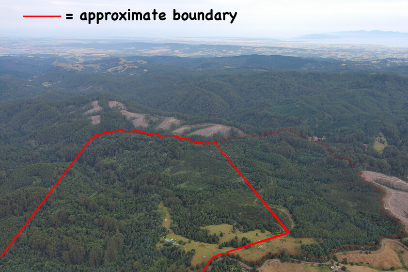 390 acres, House, Pasture, Plantation, Deer, Ferns, Waterfalls...