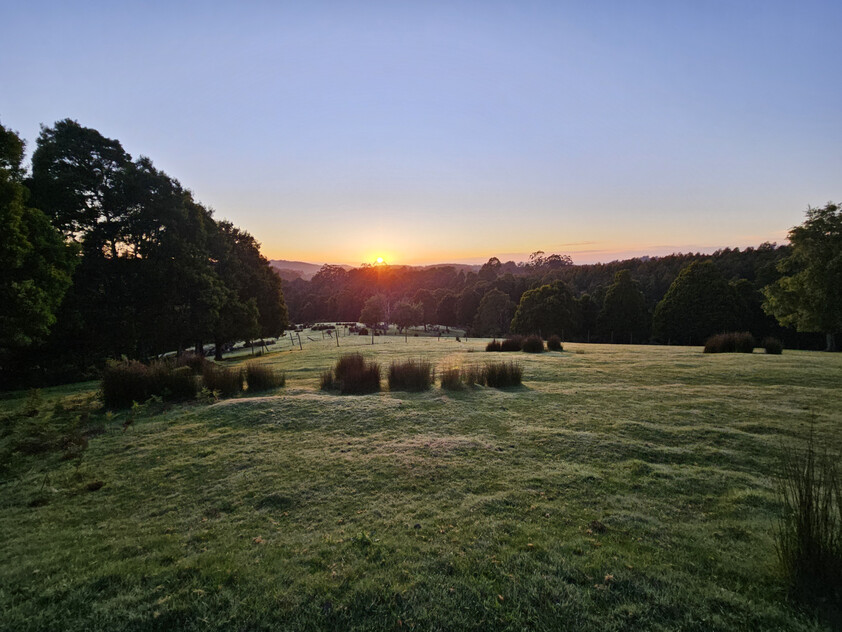390 acres, House, Pasture, Plantation, Deer, Ferns, Waterfalls...