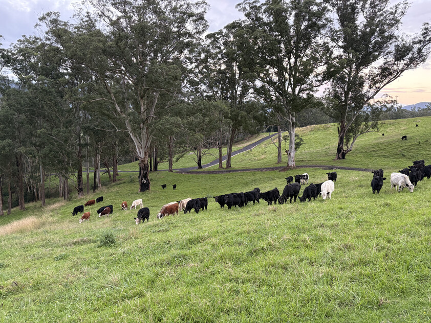 200 ACRES Kangaroo valley NSW