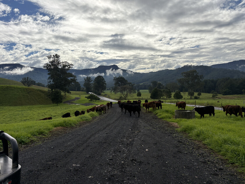 100 ACRES Kangaroo Valley NSW