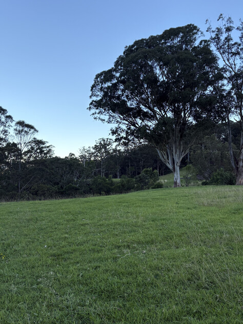100 ACRES Kangaroo Valley NSW