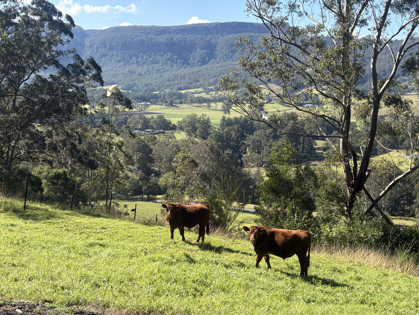100 ACRES Kangaroo Valley NSW