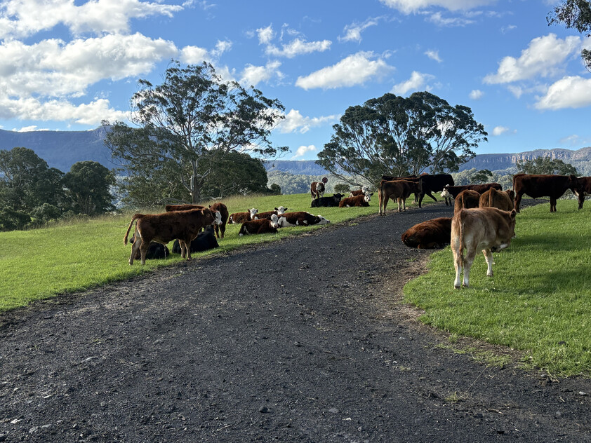 100 ACRES Kangaroo Valley NSW