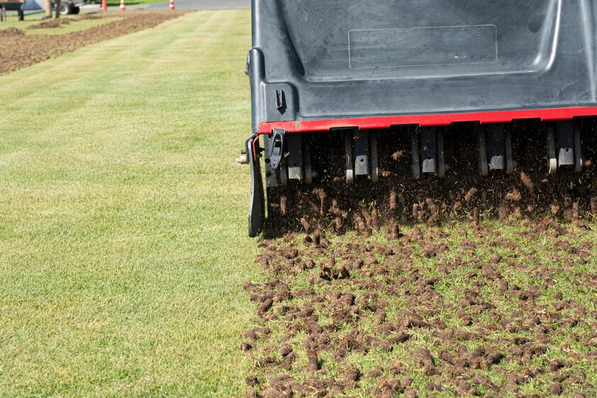 Highly Profitable Lawn Renovation & Sports Field Maintenance Business