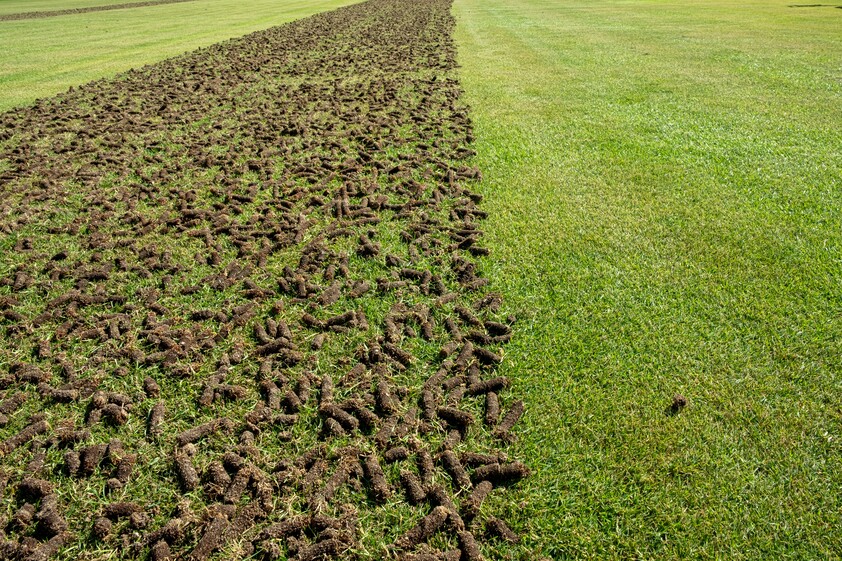 Highly Profitable Lawn Renovation & Sports Field Maintenance Business