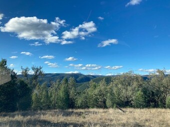 Property for sale 10 Mountain Creek Rd Mole River NSW 2372