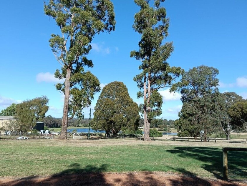 TITLES IMMINENT LAST CHANCE PRIME 2000m² BLOCK BUILD YOUR DREAM HOME IN PEACEFUL MANJIMUP