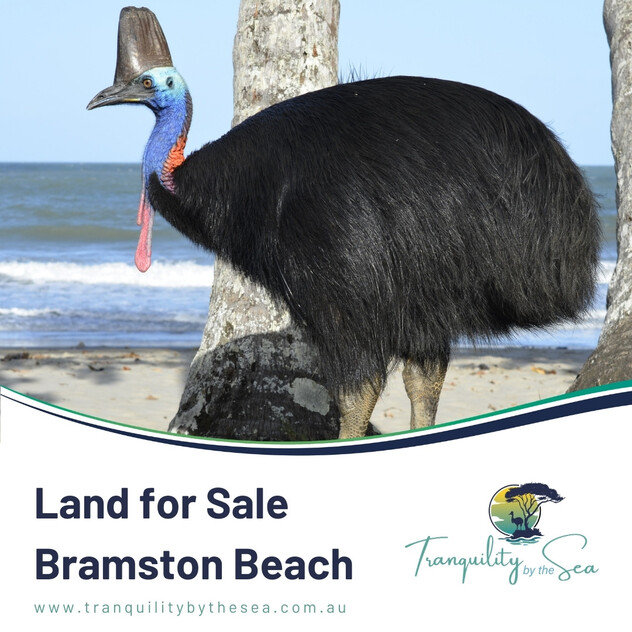 Land for Sale: 3 Lots x each 2000m2 at 11 Armanasco Rd, Bramston Beach QLD 4871