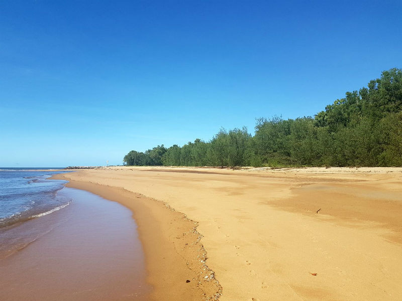 Land for Sale: 3 Lots x each 2000m2 at 11 Armanasco Rd, Bramston Beach QLD 4871