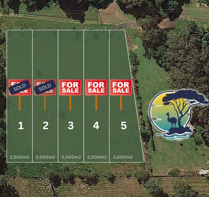 Land for Sale: 3 Lots x each 2000m2 at 11 Armanasco Rd, Bramston Beach QLD 4871