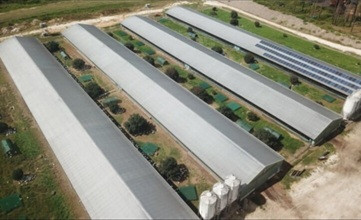 Productive Rural Property with Dual Residences & Poultry Operation