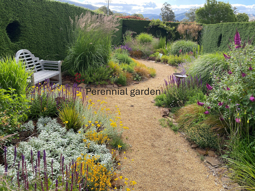 Award-Winning Maze, Garden, Café & Gallery with Events Venue & Residence