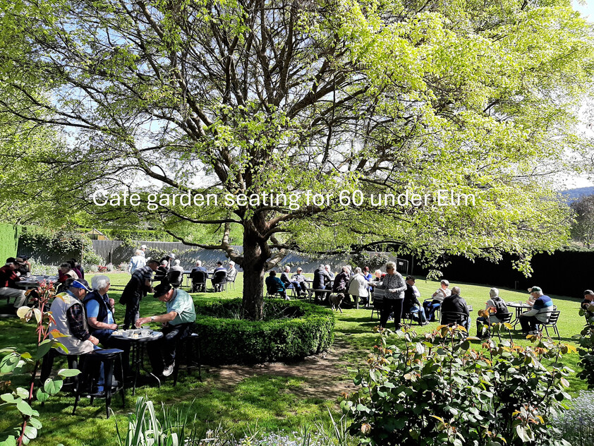 Award-Winning Maze, Garden, Café & Gallery with Events Venue & Residence
