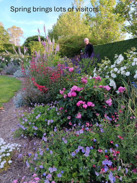 Award-Winning Maze, Garden, Café & Gallery with Events Venue & Residence