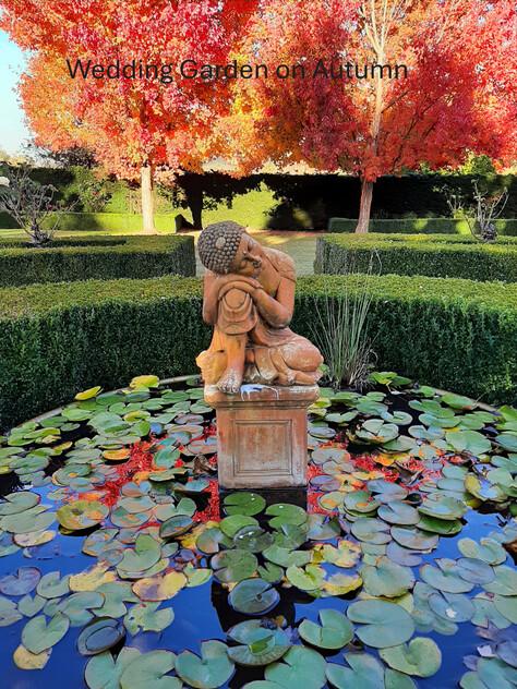 Award-Winning Maze, Garden, Café & Gallery with Events Venue & Residence