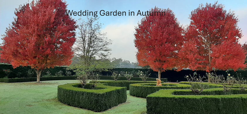 Award-Winning Maze, Garden, Café & Gallery with Events Venue & Residence