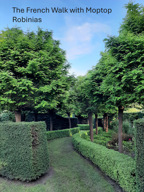 Award-Winning Maze, Garden, Café & Gallery with Events Venue & Residence