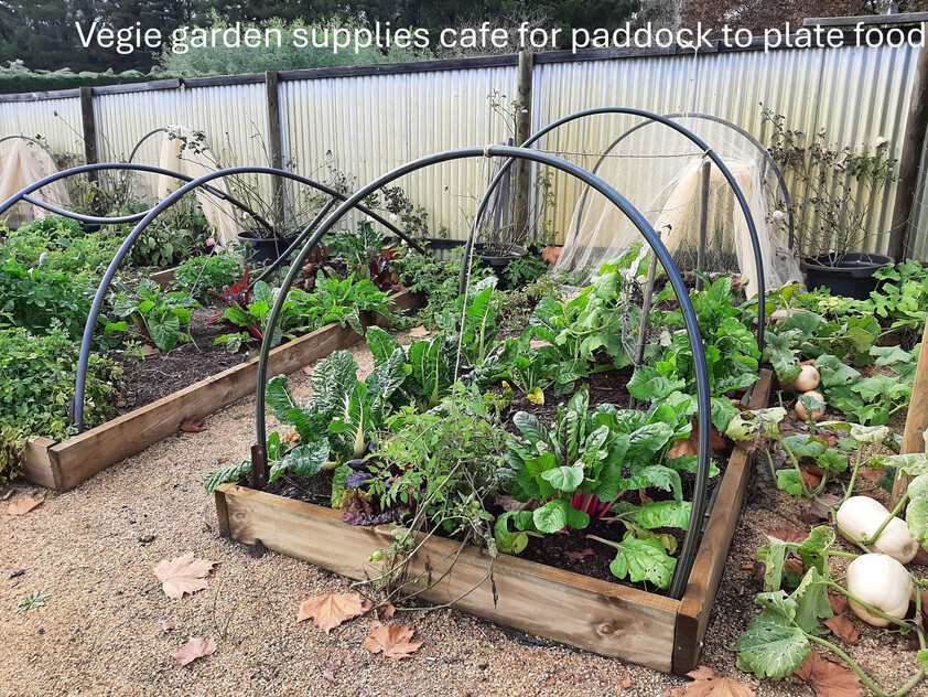 Award-Winning Maze, Garden, Café & Gallery with Events Venue & Residence