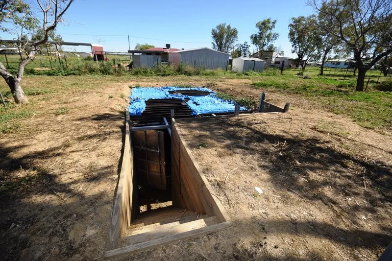 Renovators Dream.