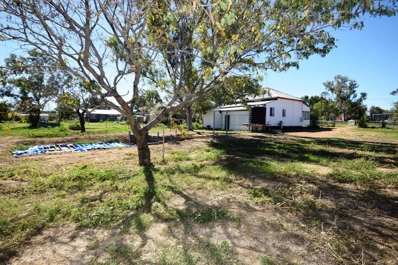Renovators Dream.