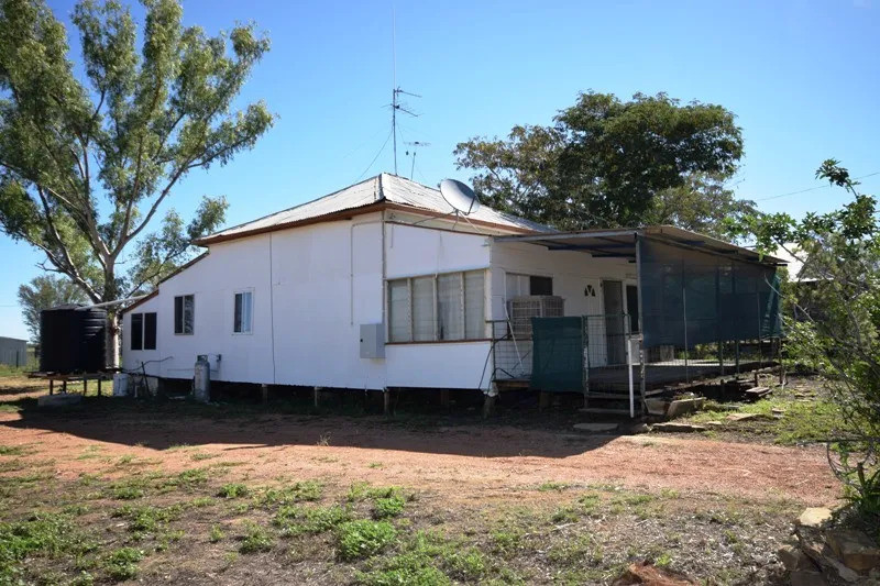 Renovators Dream.