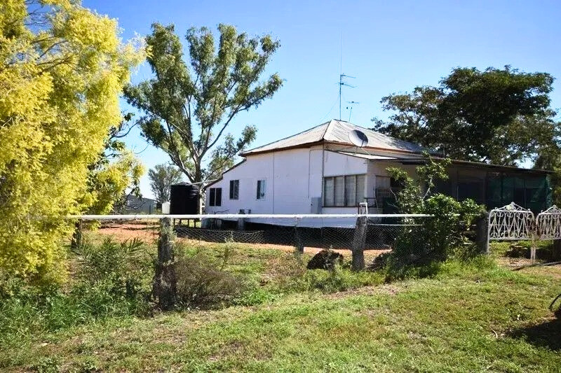 Renovators Dream.