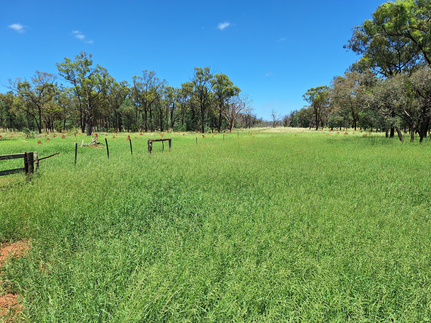 FOR SALE: Safe breeding block - Speculation: 24,923 ha/61,586 acres