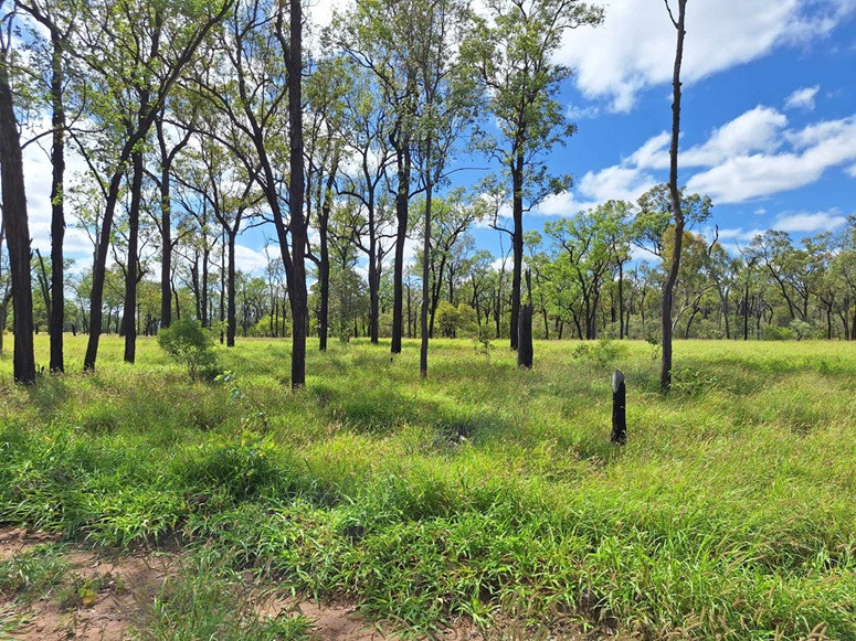 FOR SALE: Safe breeding block - Speculation: 24,923 ha/61,586 acres