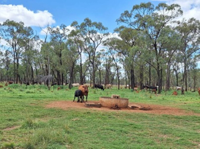 FOR SALE: Safe breeding block - Speculation: 24,923 ha/61,586 acres