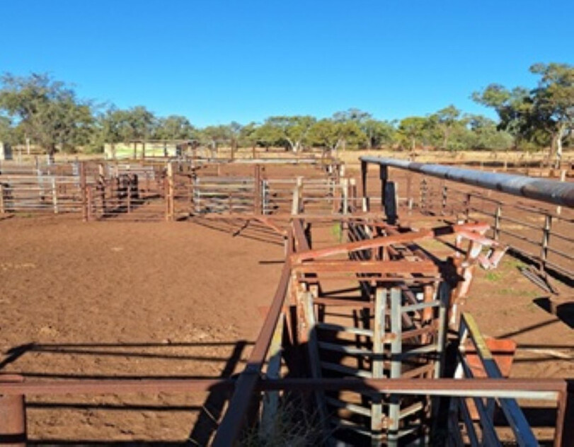 FOR SALE: Safe breeding block - Speculation: 24,923 ha/61,586 acres